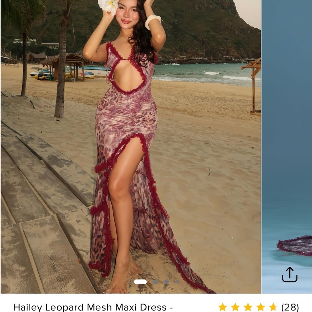 Leopard Mesh Maxi Dress